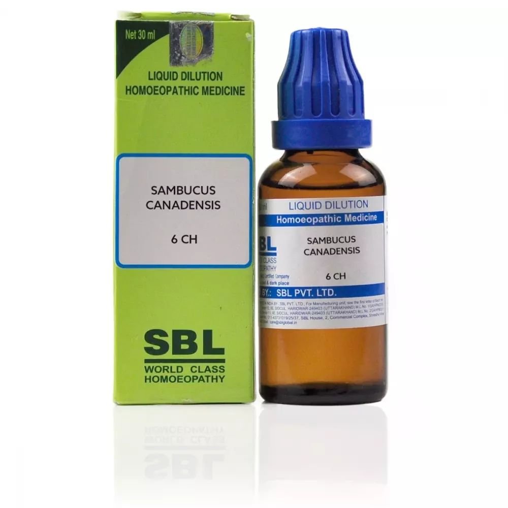 SBL Sambucus Canadensis